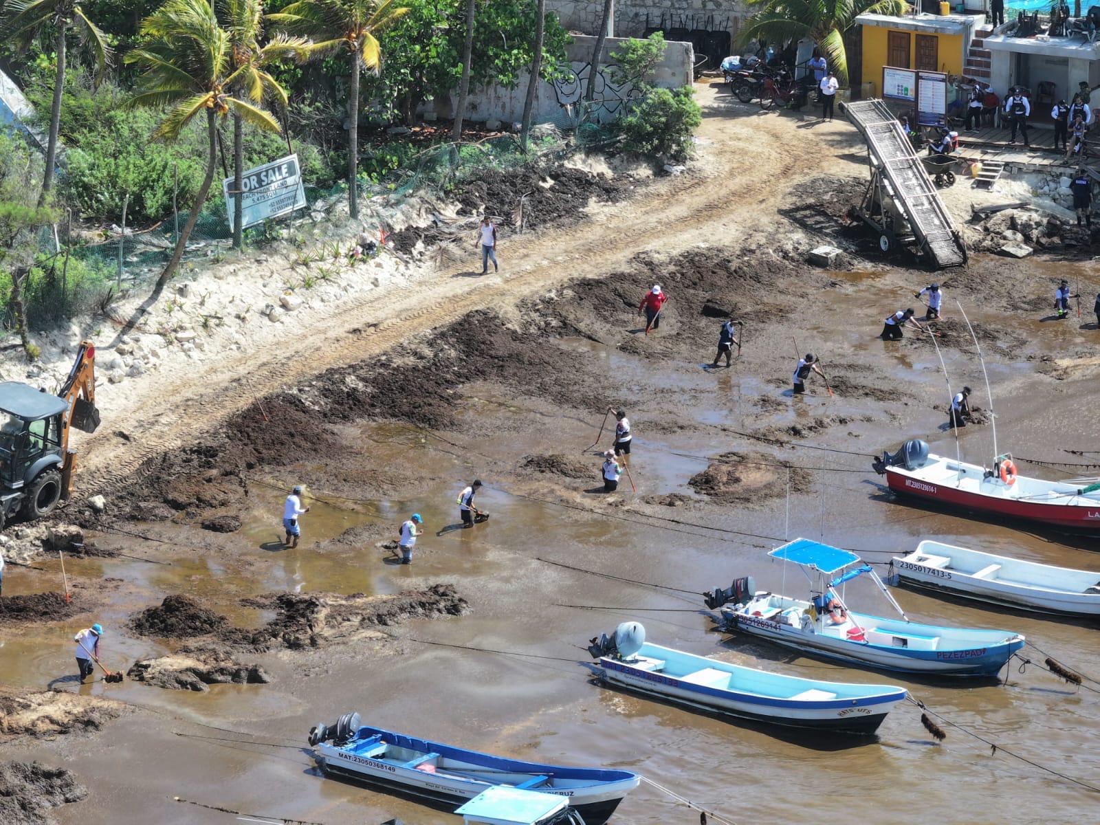 $!Refuerza Marina estrategia contra sargazo en el litoral de Quintana Roo
