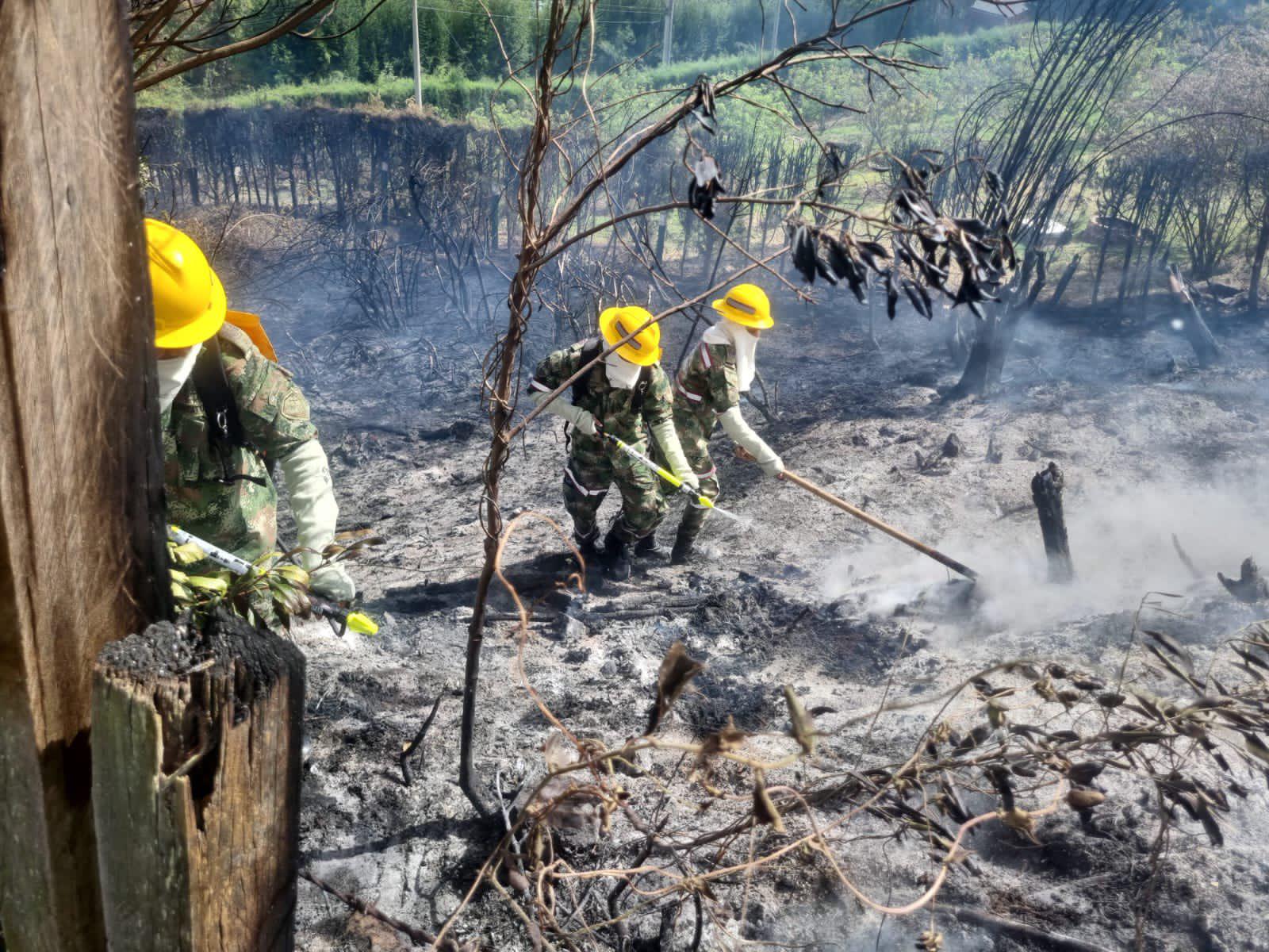 $!Enfrenta Colombia 31 incendios forestales