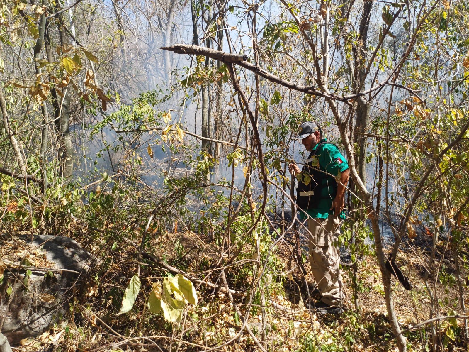 $!Registran incendio forestal en la sierra de Imala, en Culiacán