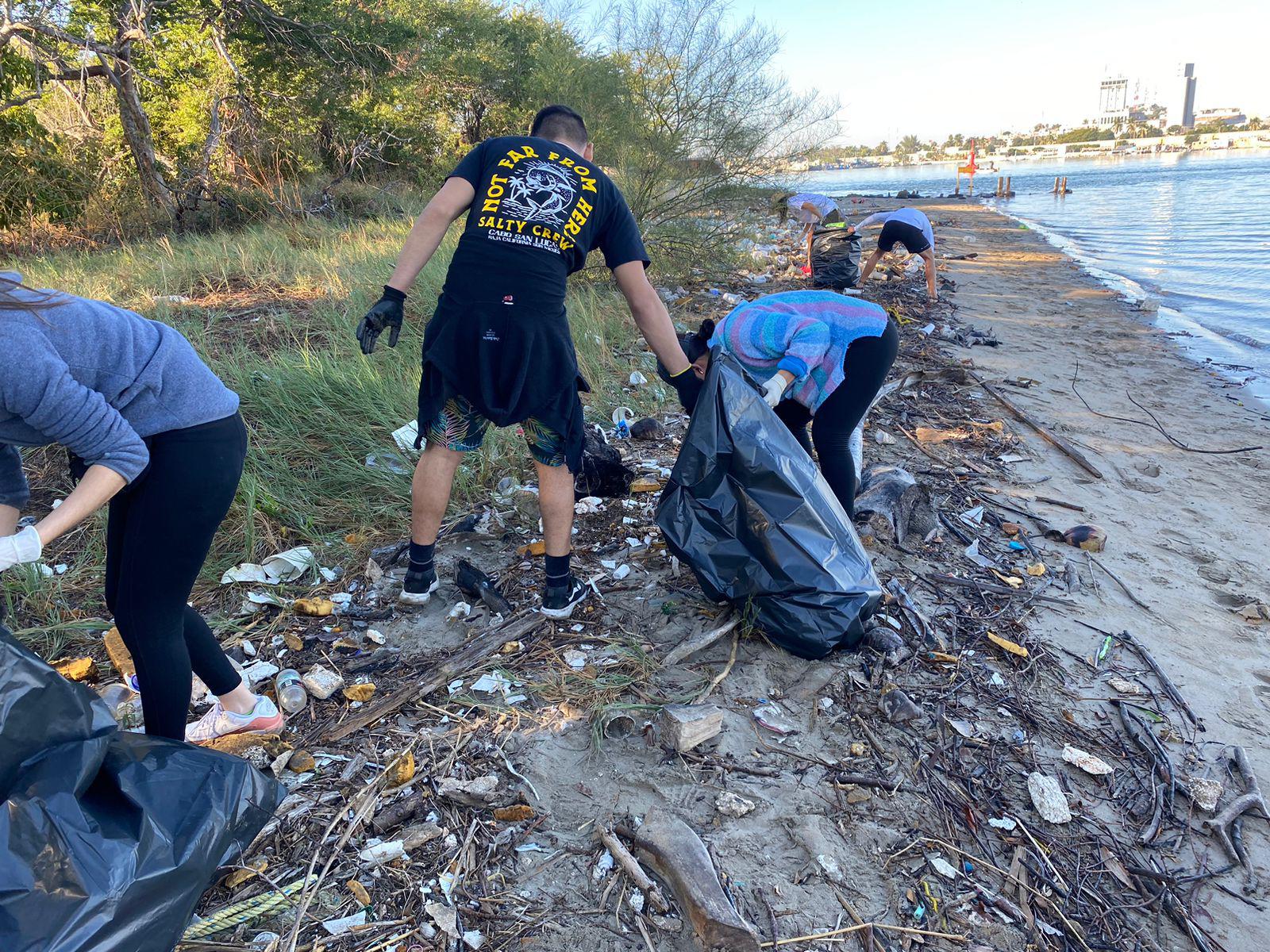 $!Extrae MazConciencia más 600 kilos de basura del manglar de la Isla de la Piedra