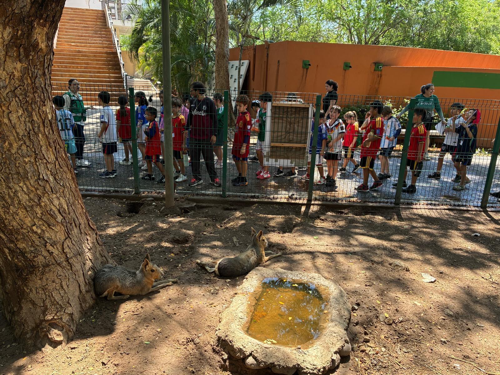 $!Participantes de los Cursos de Verano Imdec 2026 disfrutan visita educativa al zoológico de Culiacán
