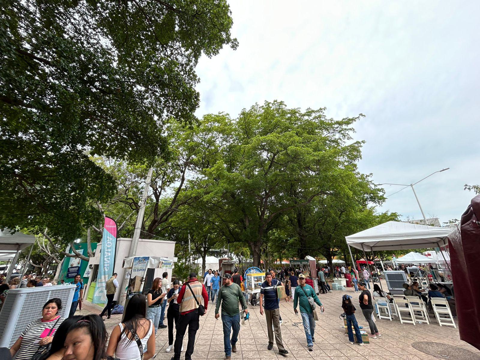 $!DIF Sinaloa monta en Culiacán servicios de salud y asistencia social gratuitos