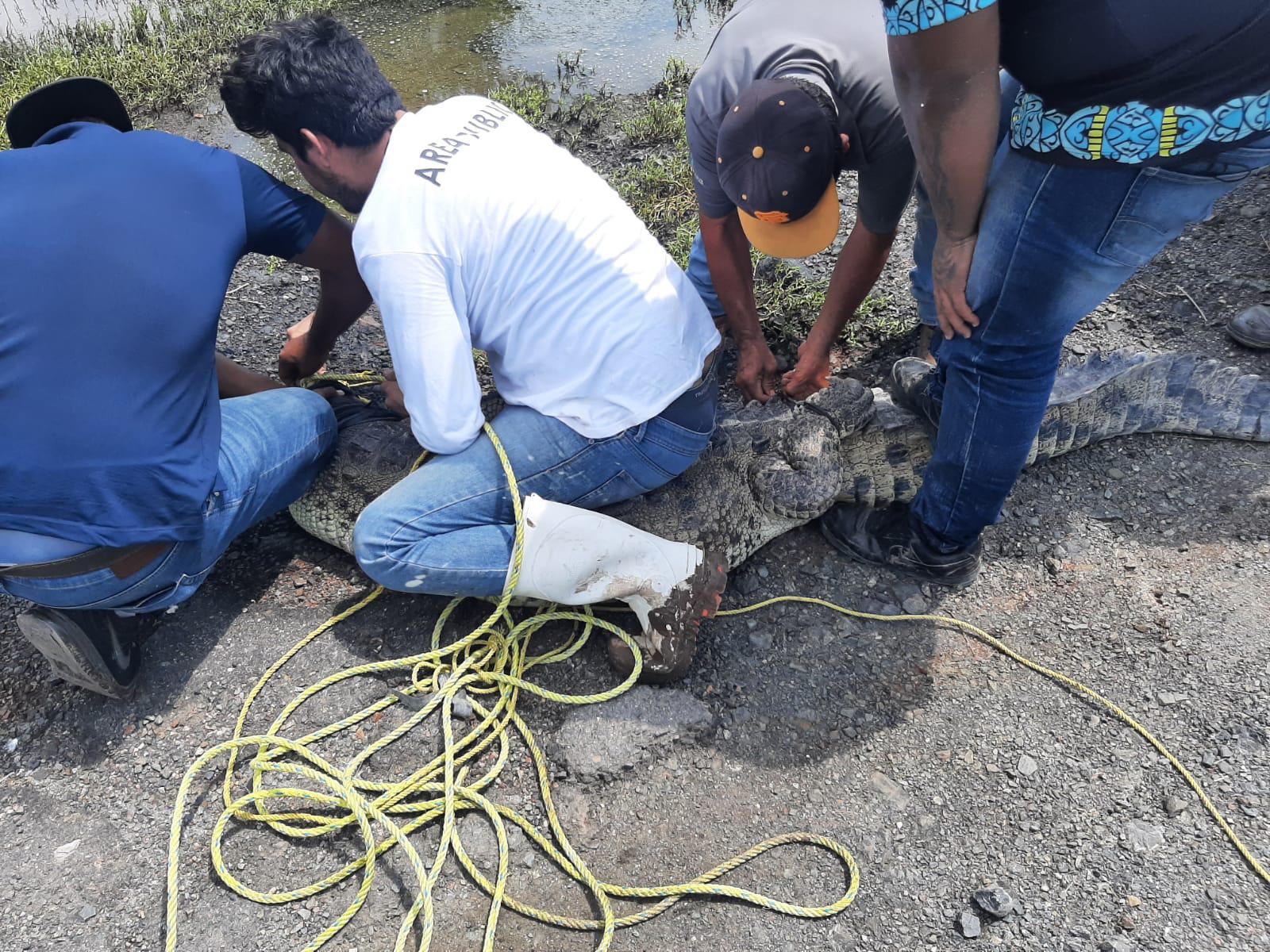 $!Foto: Cortesía Ayuntamiento de Mazatlán