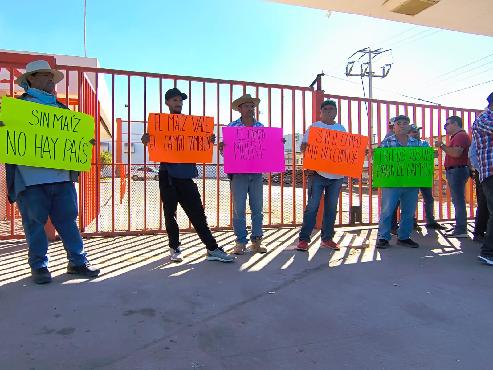 $!Productores agrícolas toman planta de Minsa en Ahome; exigen respuesta del Gobierno ante crisis del maíz