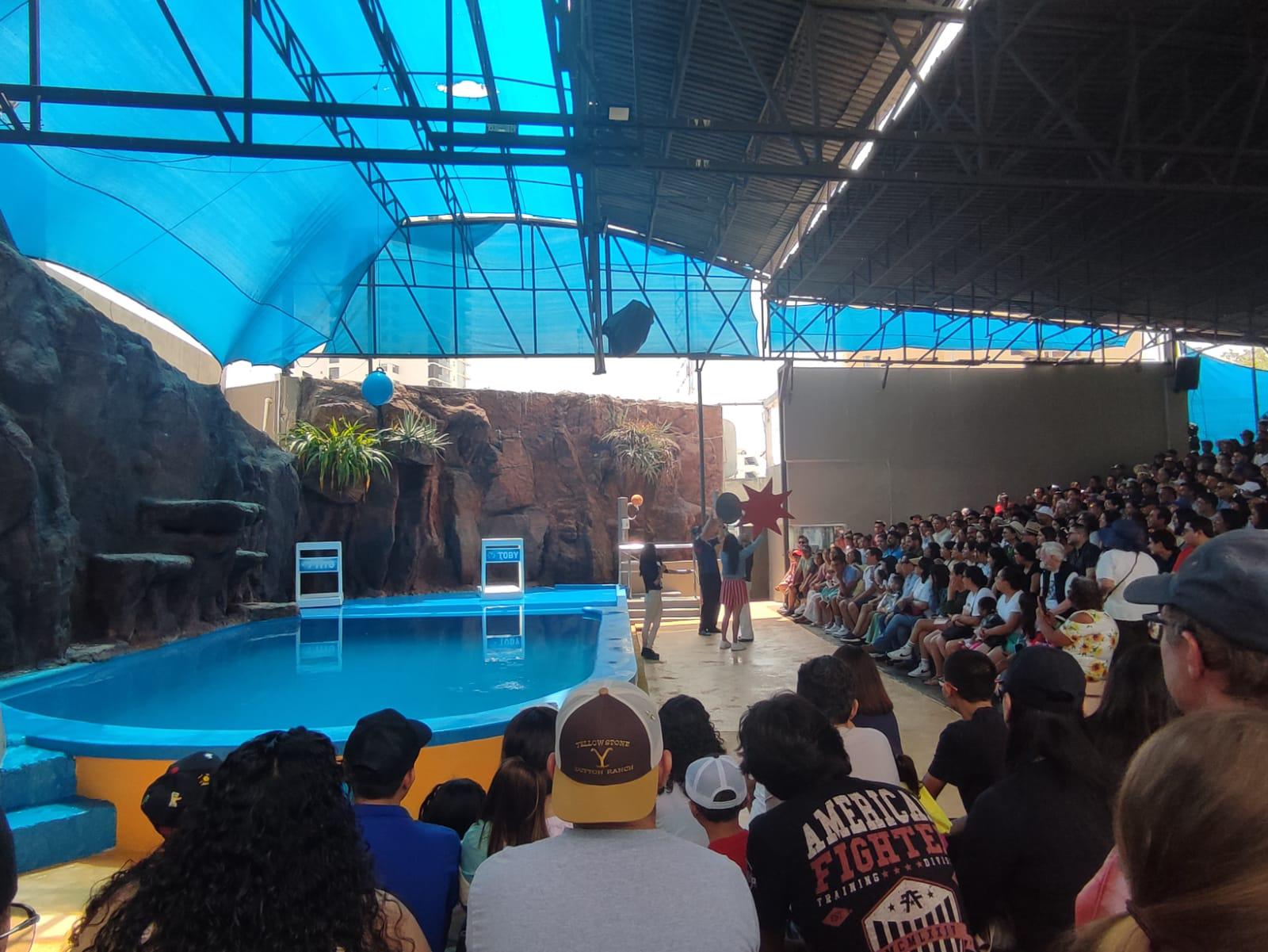 $!Abarrotan el Gran Acuario Mar de Cortés previo al eclipse total de sol en Mazatlán