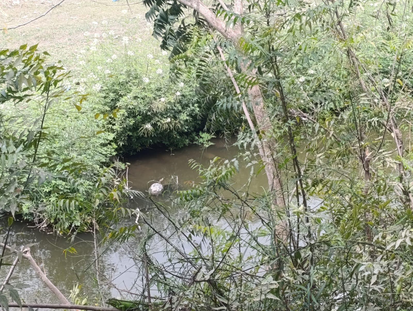 $!Por temporada de huracanes, exhorta Protección Civil Escuinapa a no tirar basura en arroyos y canales