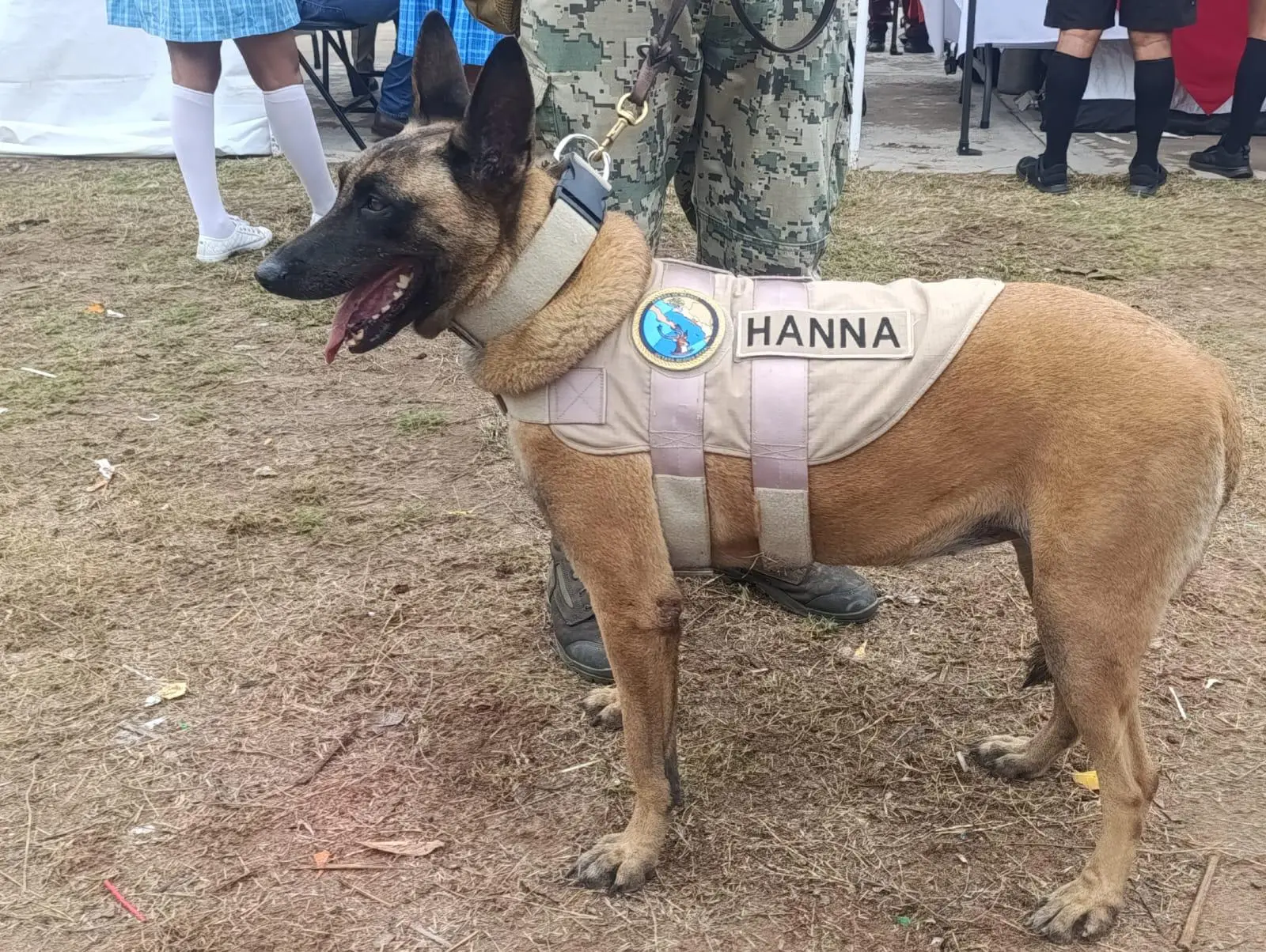 $!Módulos del Ejército, Marina y Guardia Nacional captan la atención de niños en la Jornada por la Paz en Escuinapa