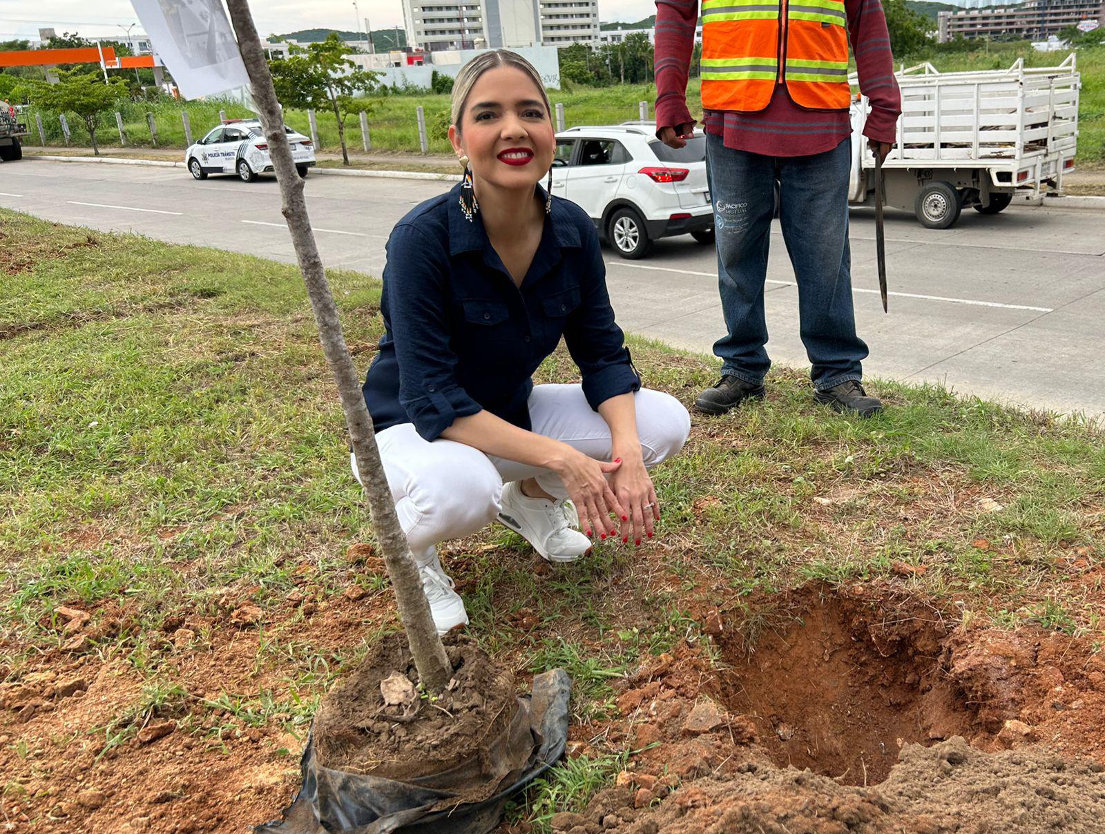 $!Avanza campaña de arborización en Mazatlán con siembra de 60 árboles