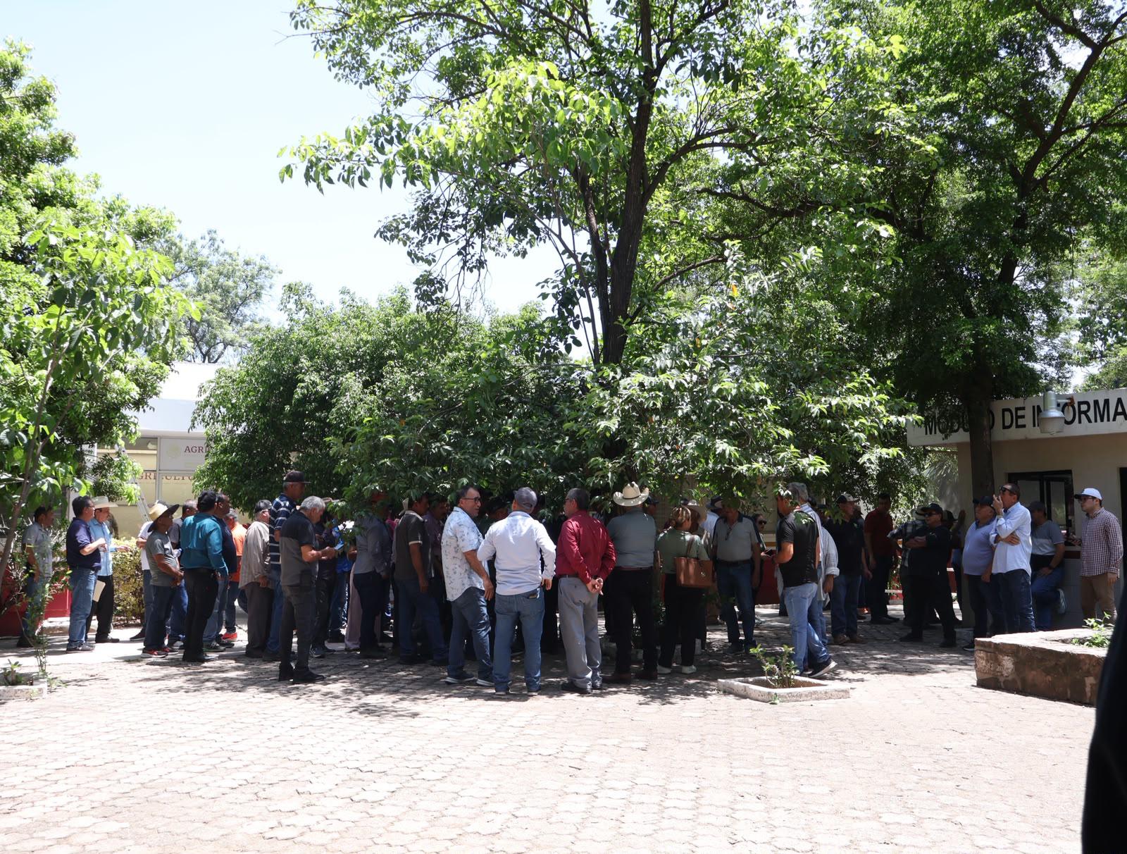 $!Productores sinaloenses protestan en Sader por tarjetas de apoyo sin recursos