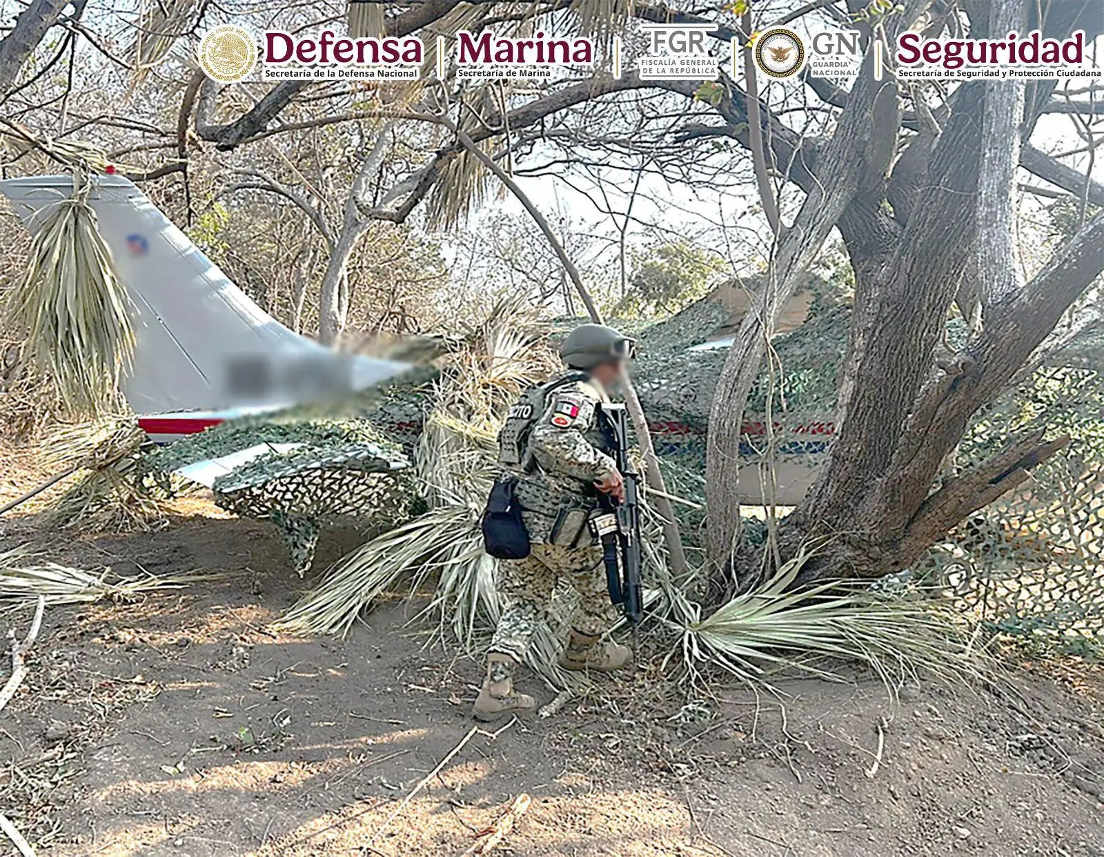 $!Interceptan avioneta clandestina con más de media tonelada de cocaína en Oaxaca