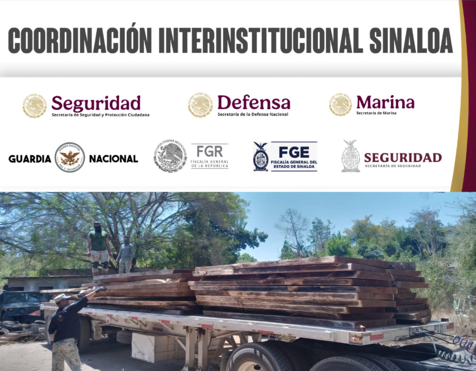 $!Aseguran en Mazatlán madera de huanacaxtle proveniente de la tala ilegal