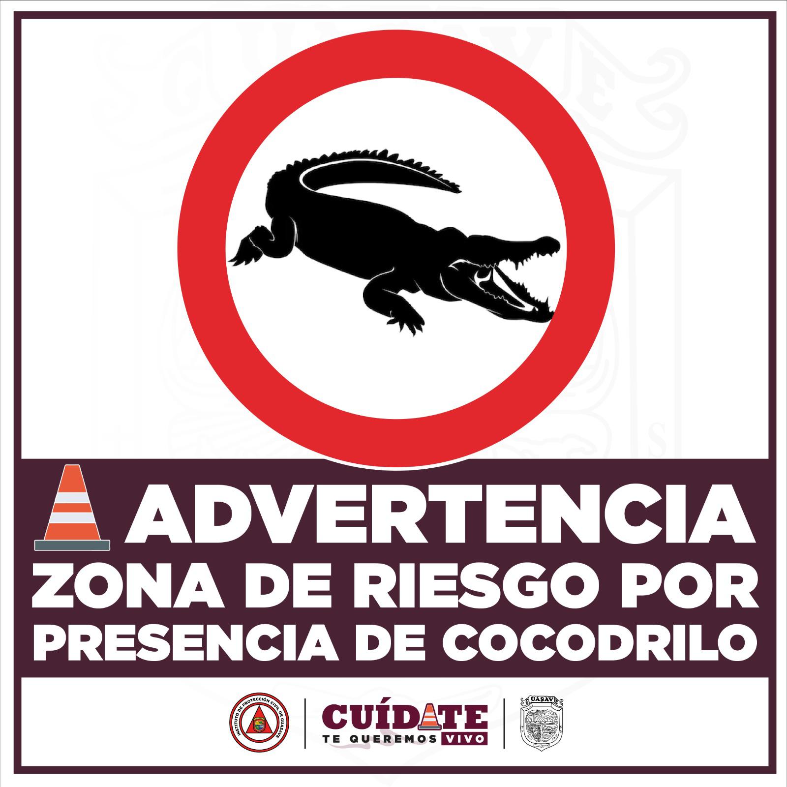 $!Protección Civil Guasave emite alerta preventiva por cocodrilo en la zona del río Sinaloa