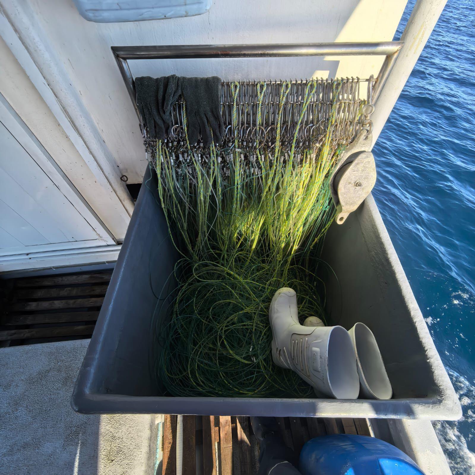 $!Retienen a embarcación con 130 kilogramos de tiburón dentro del Área Natural Protegida Islas Marías