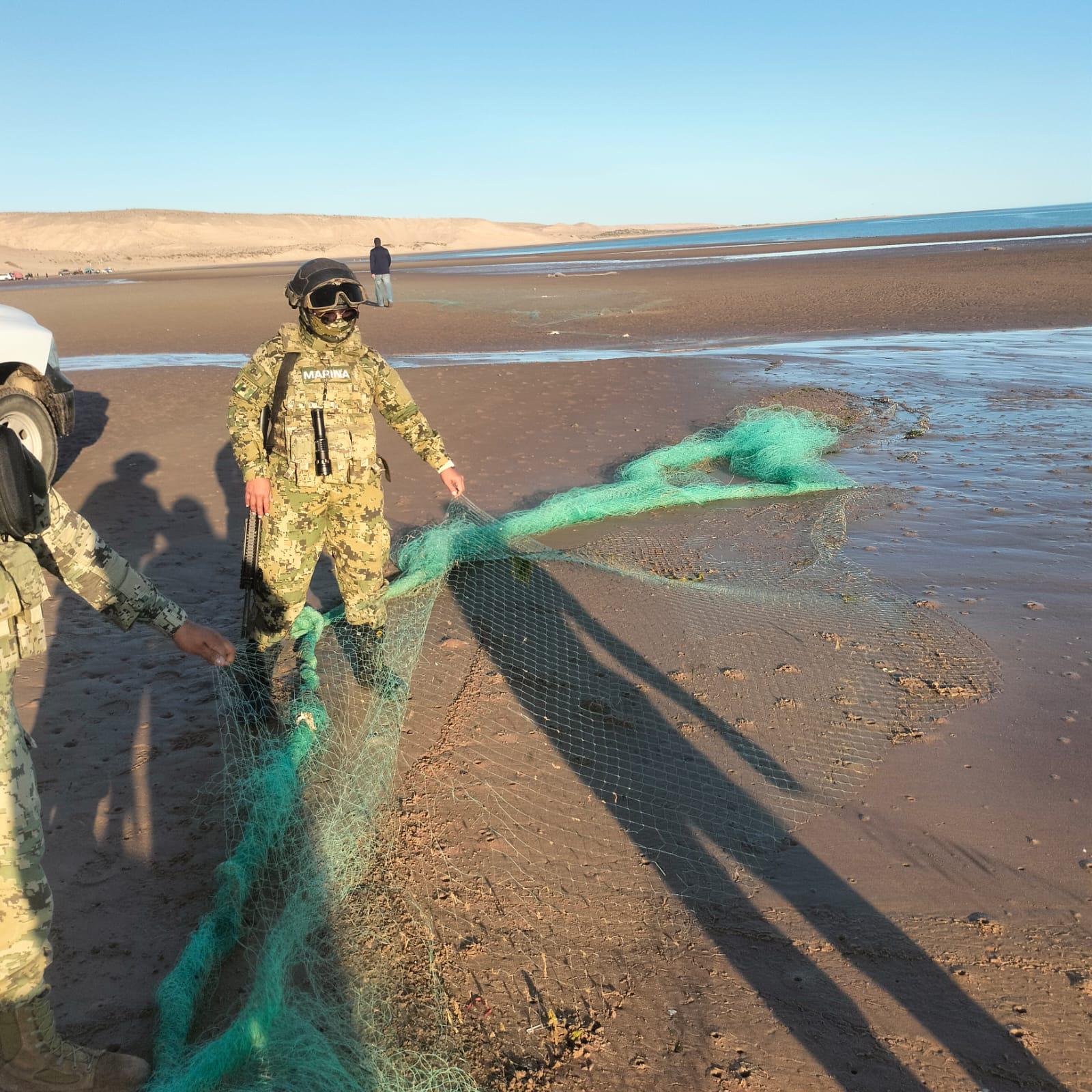$!Crea Conapesca Sistema Nacional de Trazabilidad para frenar pesca ilegal