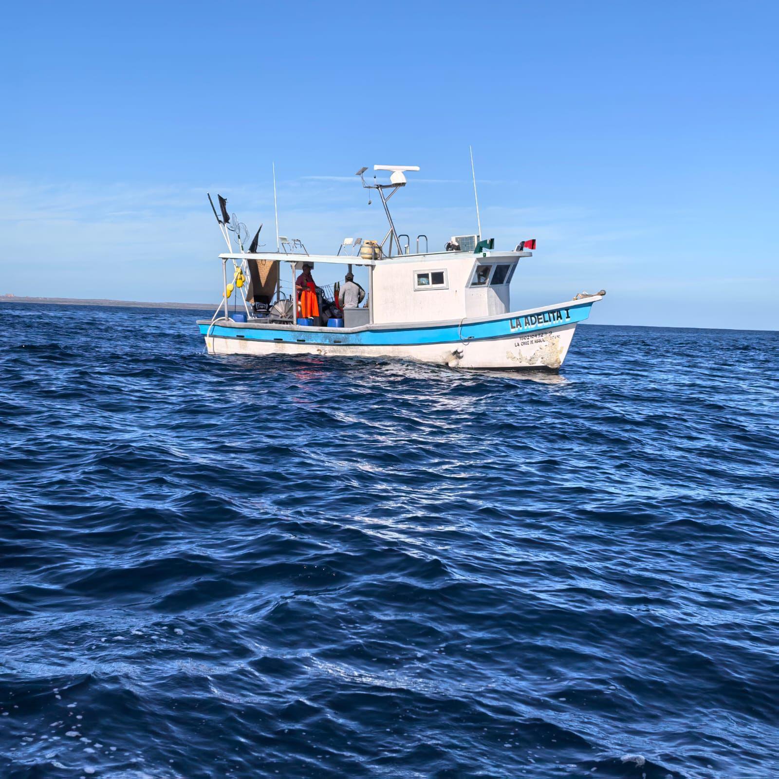 $!Retienen a embarcación con 130 kilogramos de tiburón dentro del Área Natural Protegida Islas Marías