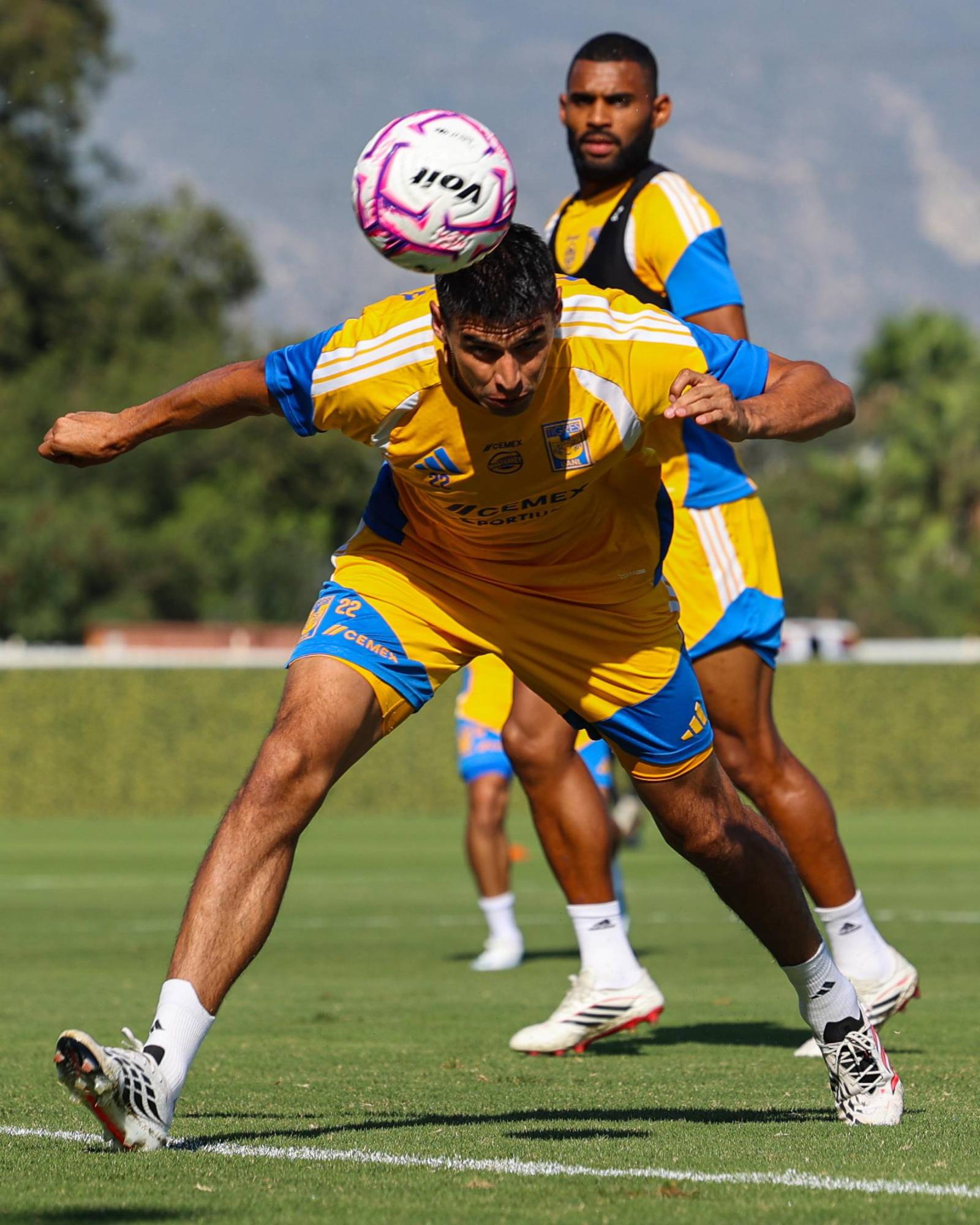 $!Tigres expone su imbatibilidad en San Nicolás ante un Toluca invicto como visitante