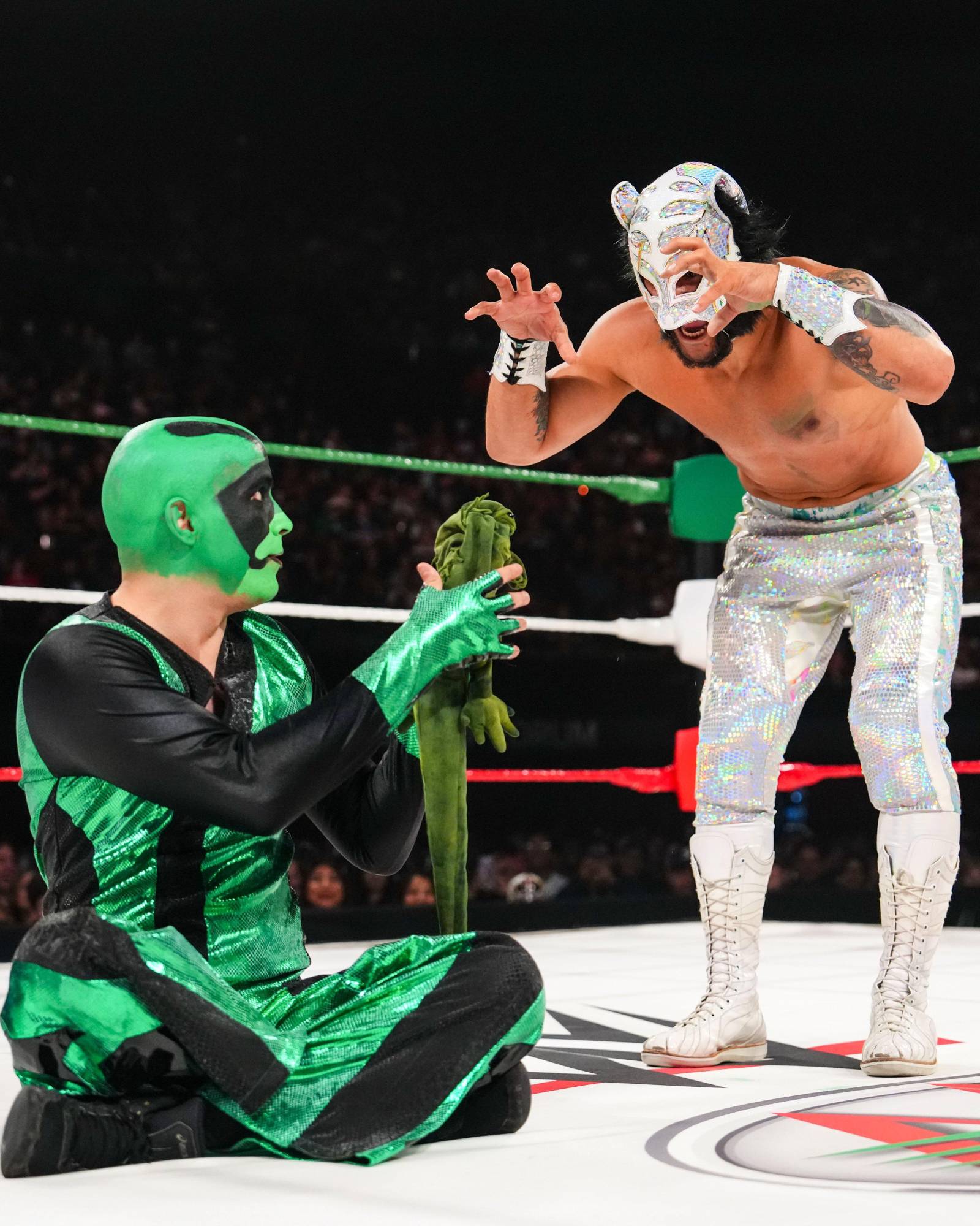 $!Triple H elogia a Mr. Iguana tras Worlds Collide: ‘Nunca supe que las iguanas eran tan divertidas’