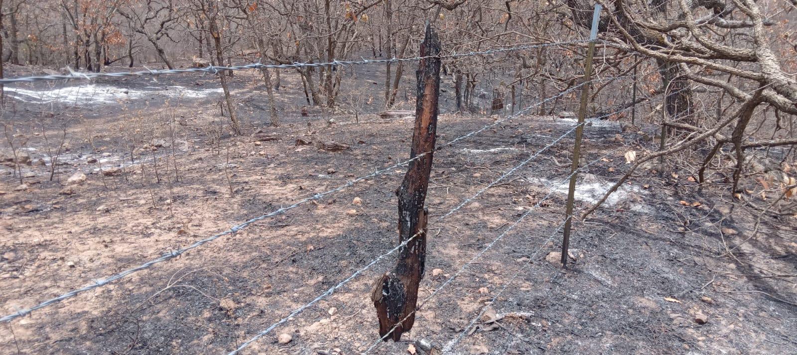 $!No hay población en riesgo por incendio en Tepuche: Protección Civil