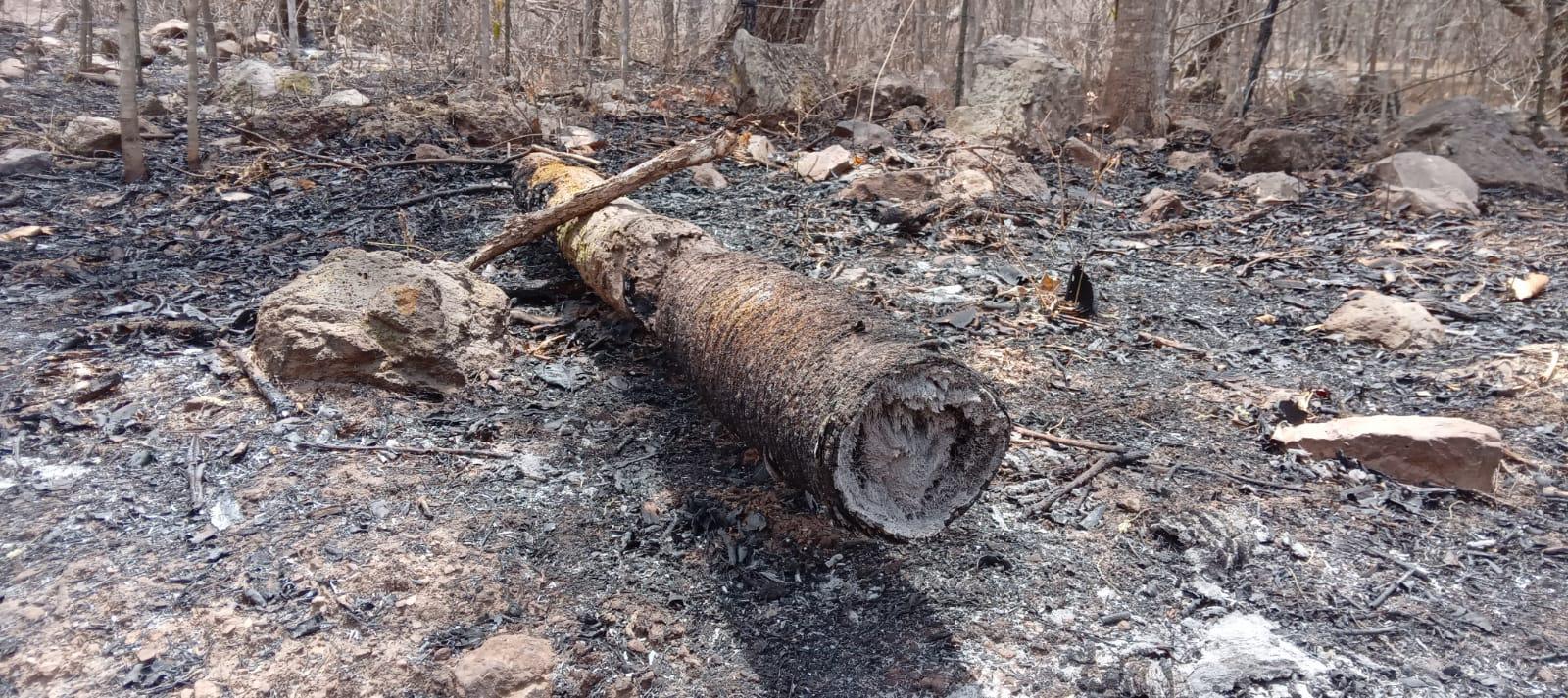 $!No hay población en riesgo por incendio en Tepuche: Protección Civil