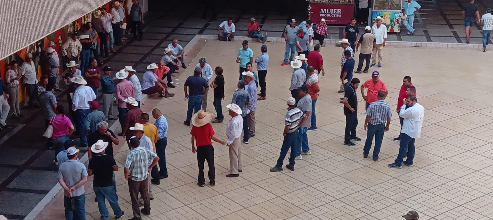 $!Ante falta de pago, agricultores se manifiestan en Palacio de Gobierno