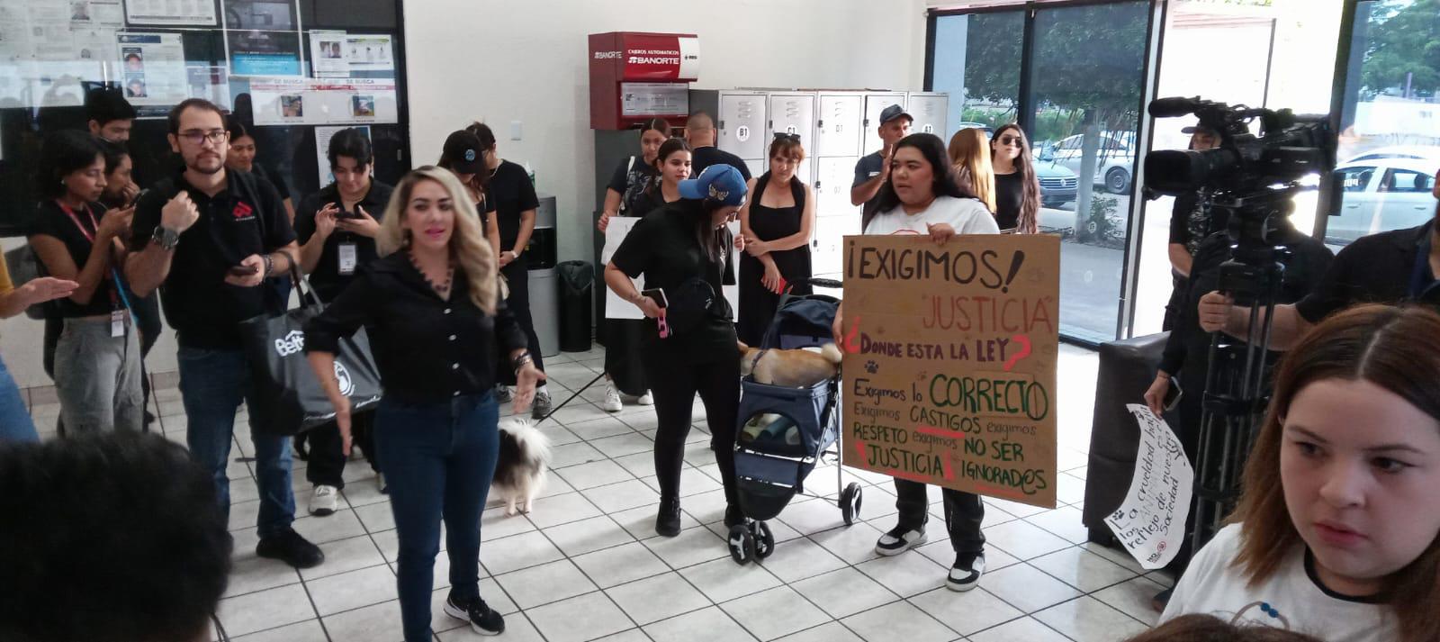 $!Defensores de animales en Culiacán exigen justicia por Bobby y piden endurecer penas por maltrato en Sinaloa