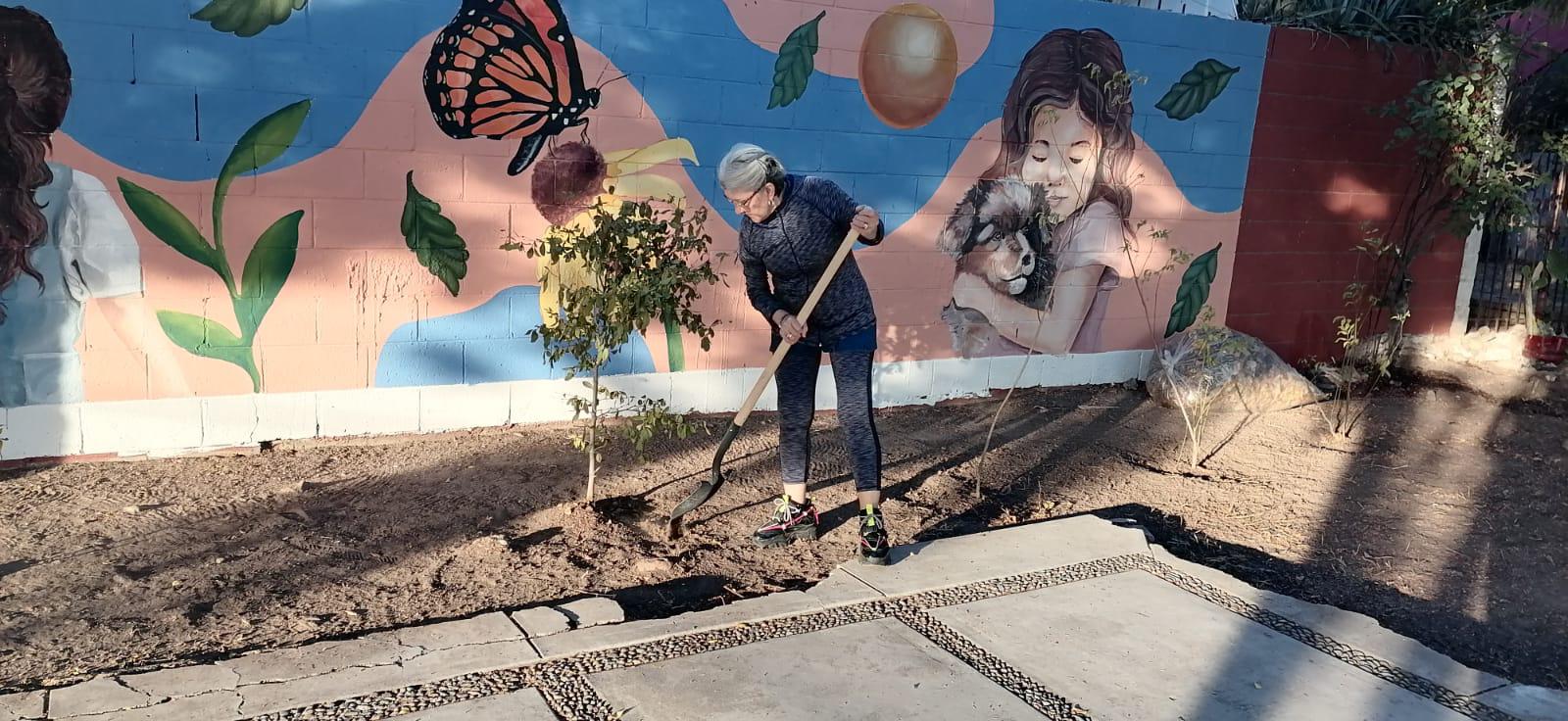 $!Vecinas de Cañadas, en Culiacán, defienden y cuidan el parque de la colonia