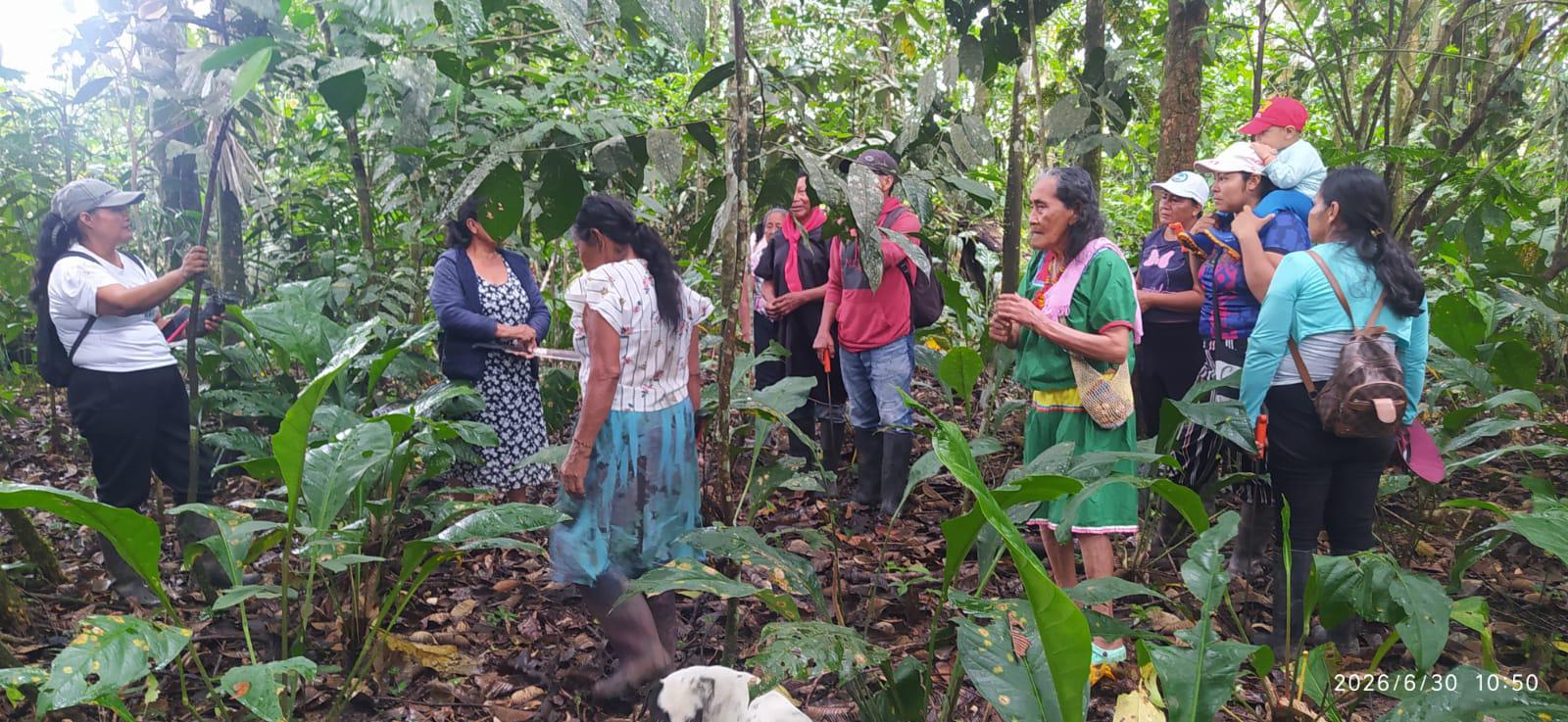$!Las mujeres cofán han hecho frente a la deforestación y a los impactos del cambio climático con la restauración de territorios.
