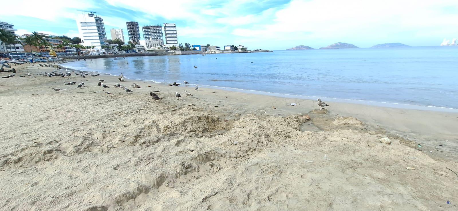 $!Ingreso de tráiler en Playa Norte genera inconformidad entre pescadores locales