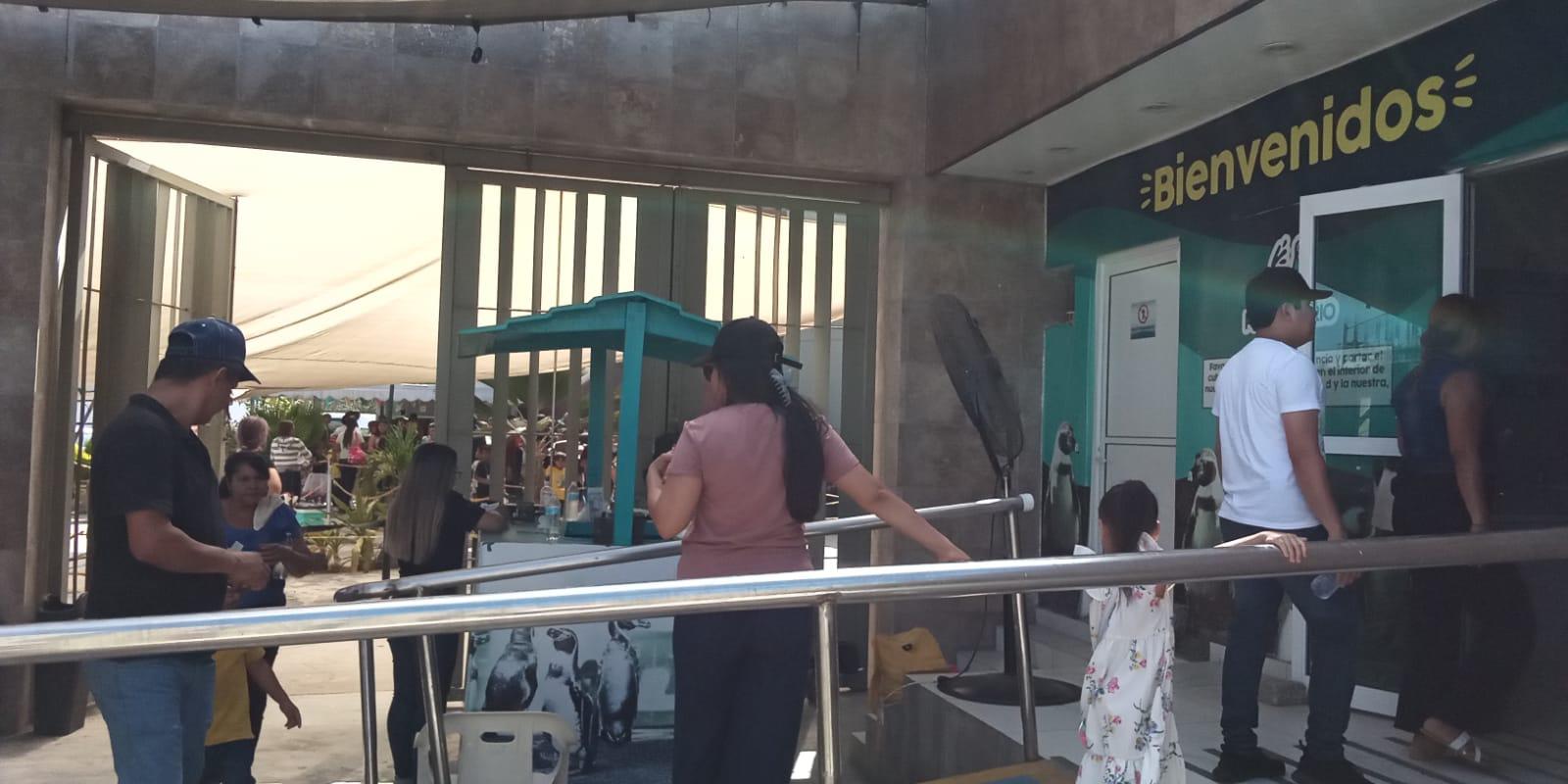 $!Hoy cierra el Acuario Mazatlán, tras 42 años de ser un ícono del puerto