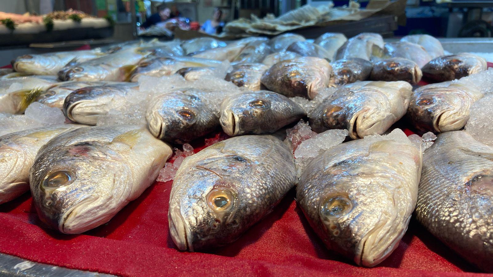 $!Lenguado, curvina, marlin y camarones, lo más buscando en Mazatlán para preparar platillos durante la Cuaresma