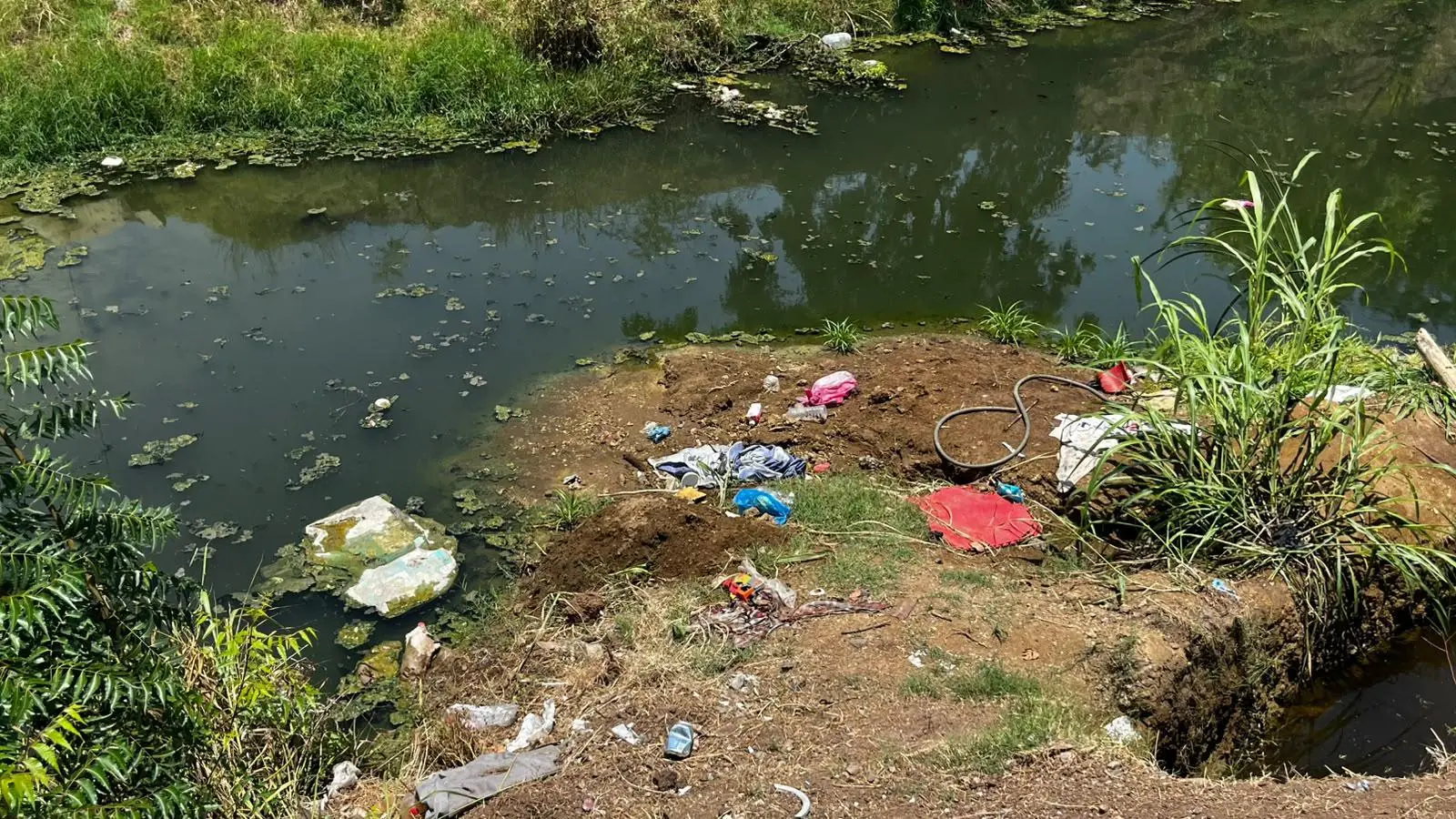 $!Entre basura, contaminación e invasión, se encuentra actualmente el arroyo Jabalines