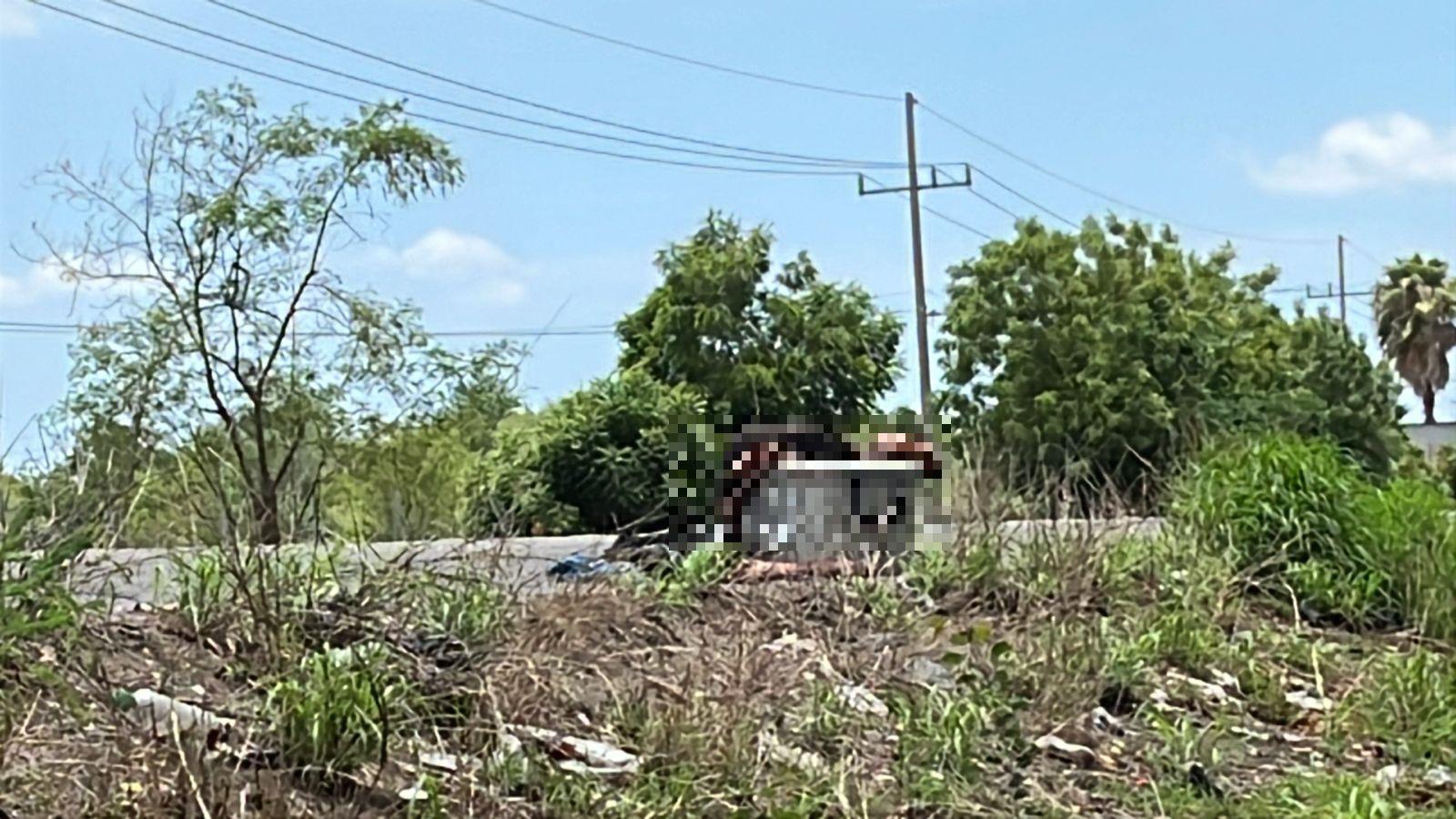 $!Abandonan hielera con restos humanos en carretera “La 20”, al sur de Culiacán