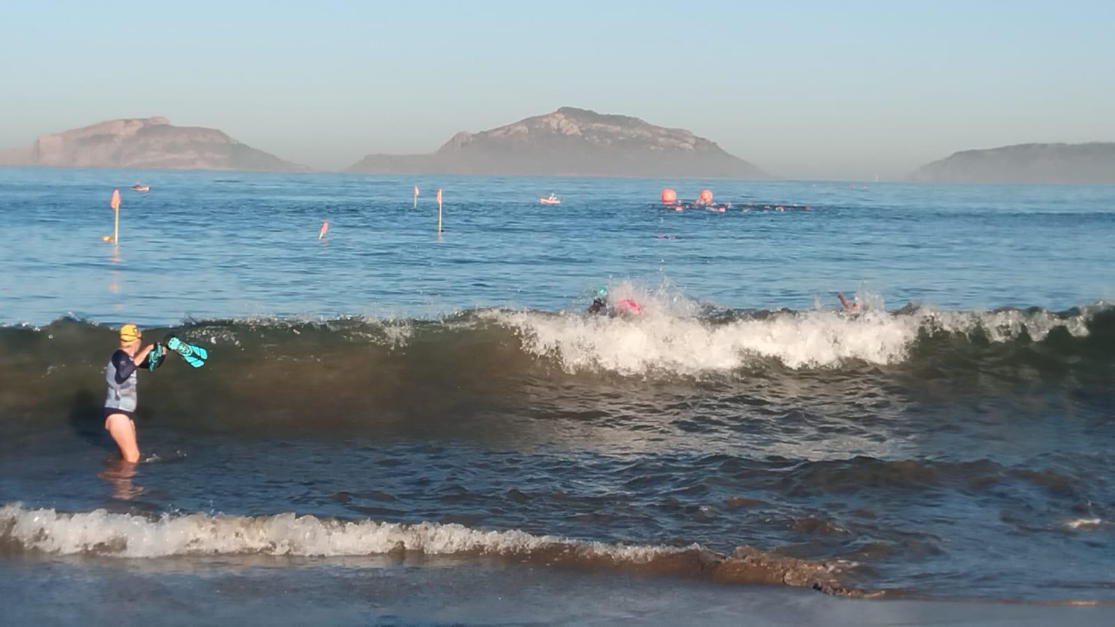$!Mazatlán vibra con más de 100 nadadores en Playa Norte