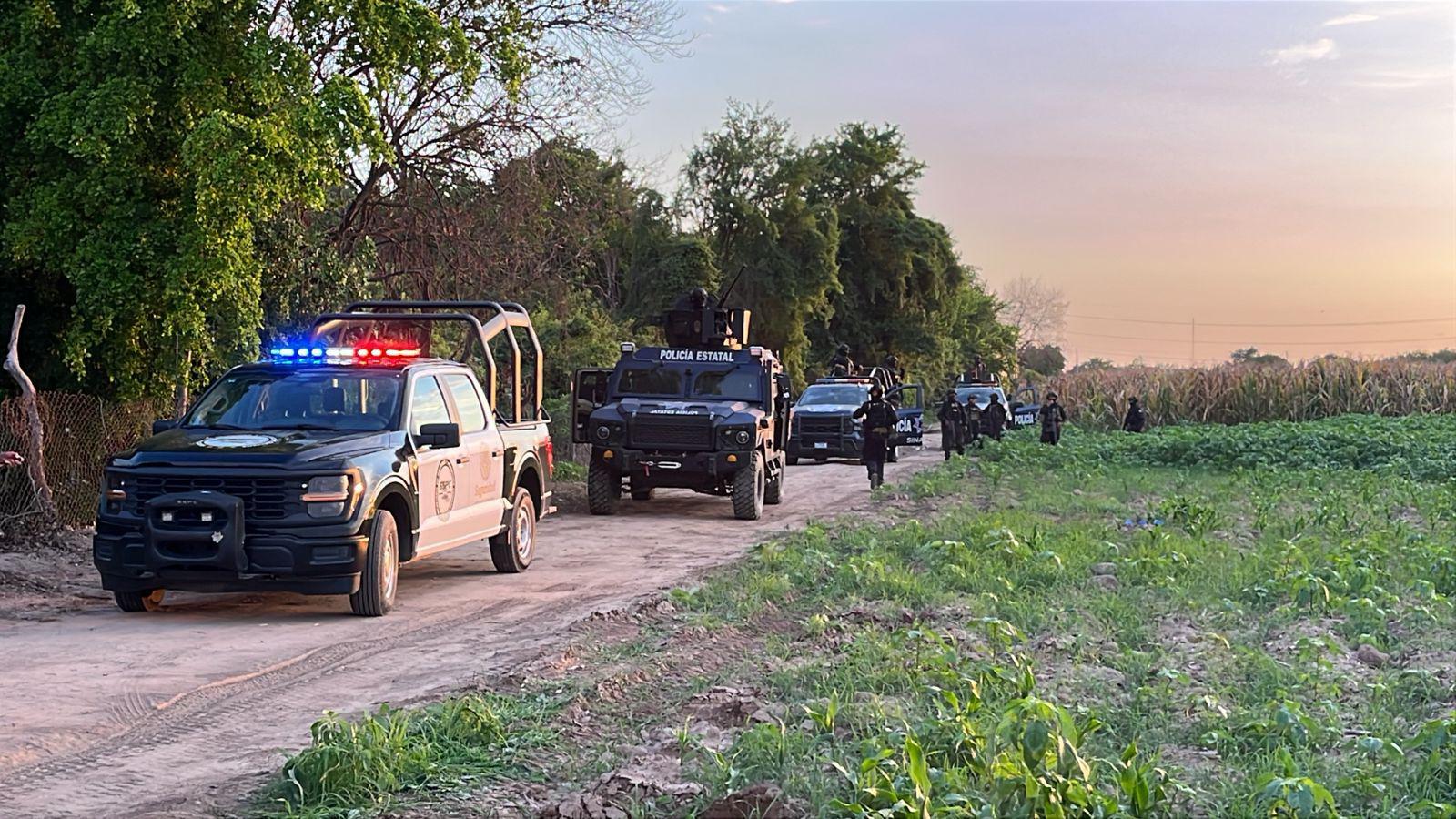 $!Hallan a un hombre asesinado a balazos en parcela de Navolato