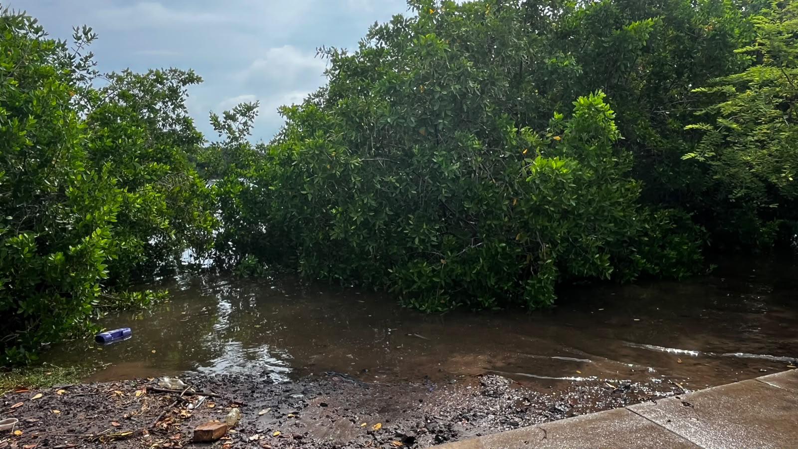 $!Se desborda el Arroyo Jabalines y afecta calles de la Colonia Estero, en Mazatlán