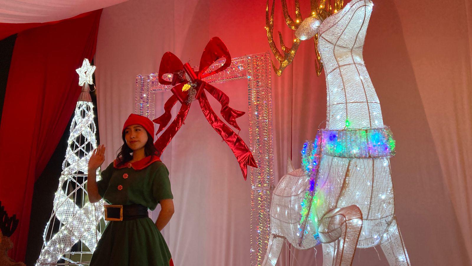 $!Gran Acuario Mazatlán presenta ‘Tiempos de Navidad’, una experiencia temática para toda la familia