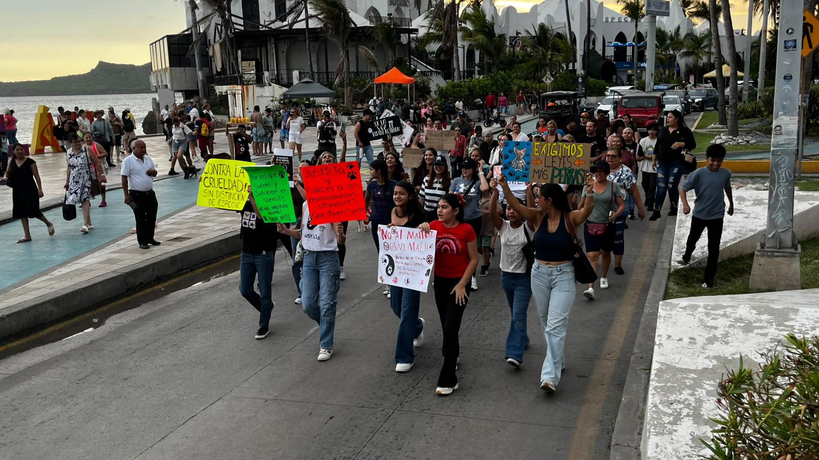 $!Realizan marcha en contra del maltrato animal en la Avenida del Mar, en Mazatlán