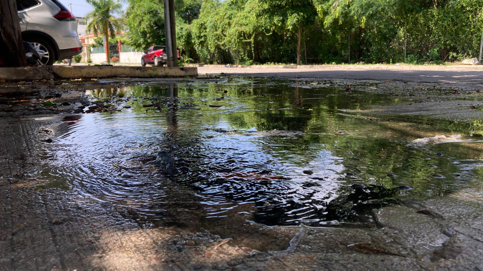 $!En Sábalo Country, vecinos sufren por fuga de drenaje y basura sin recolectar en el parque
