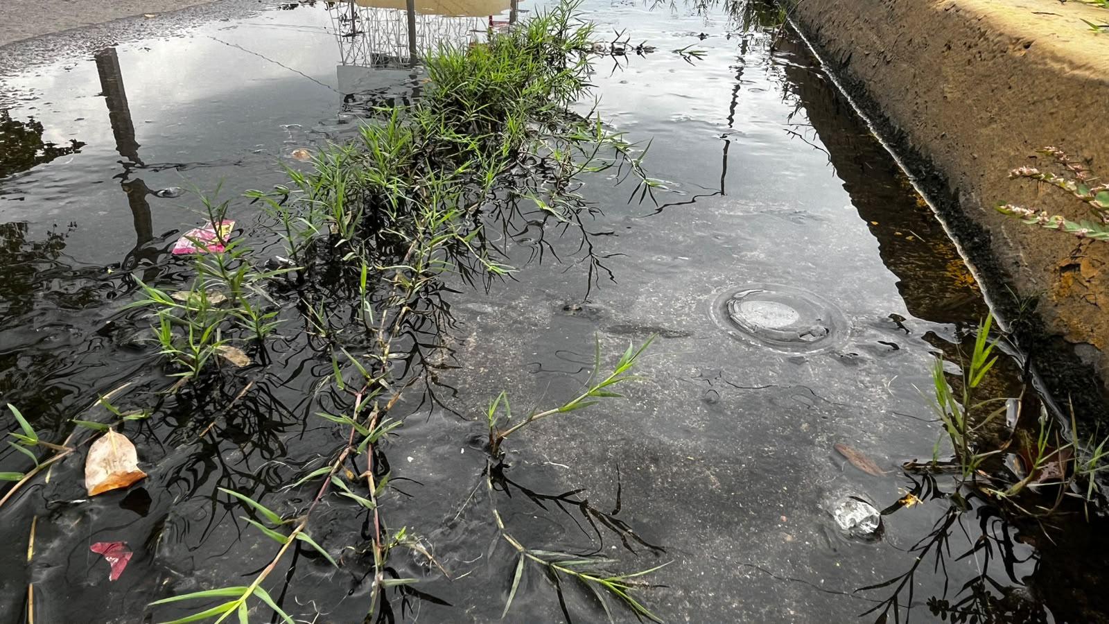 $!Reportan fuga de agua cerca de la Secundaria General 3, en Mazatlán