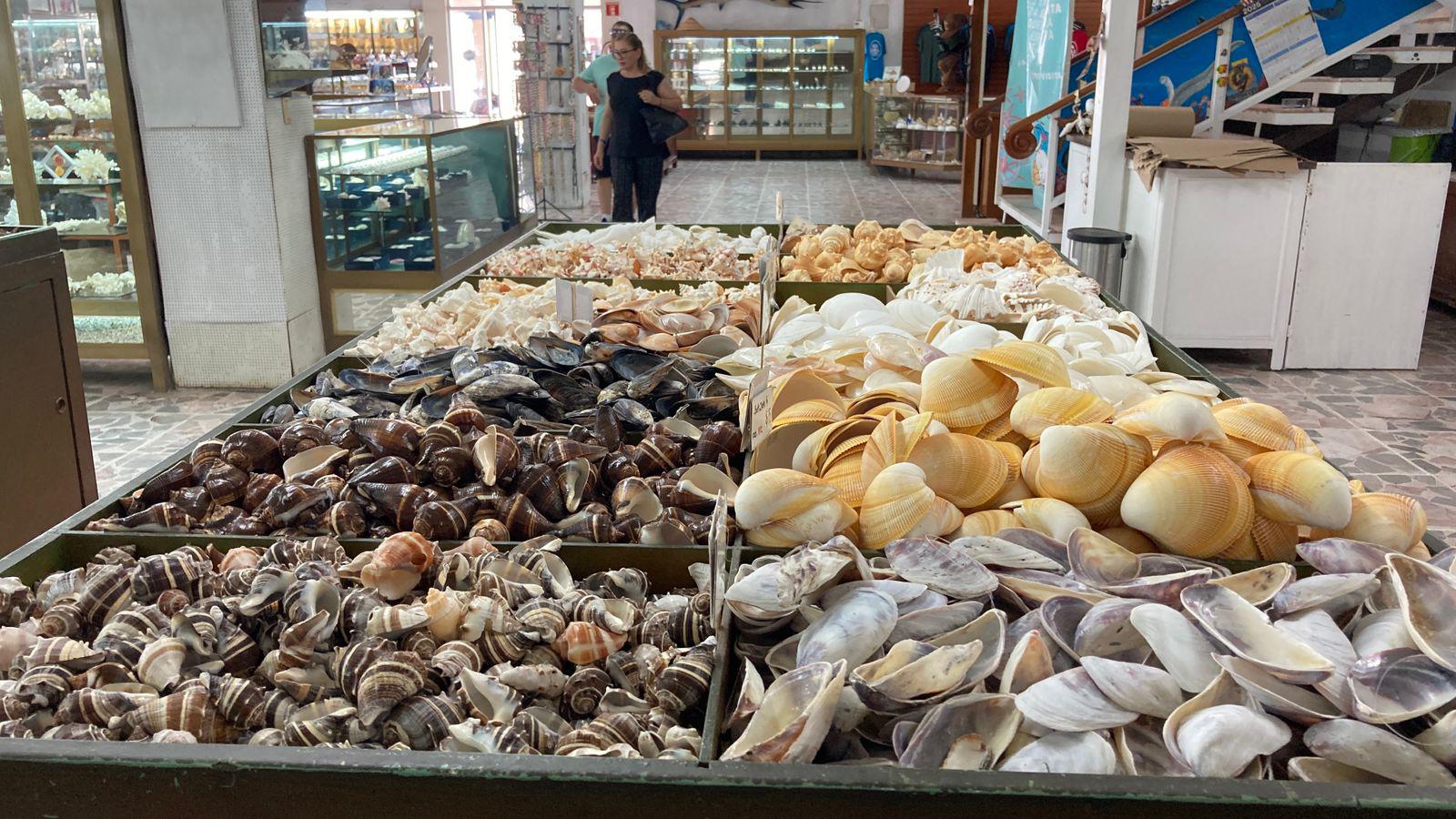 $!Museos de Mazatlán preservan historia, arte y vida marina en espacios únicos