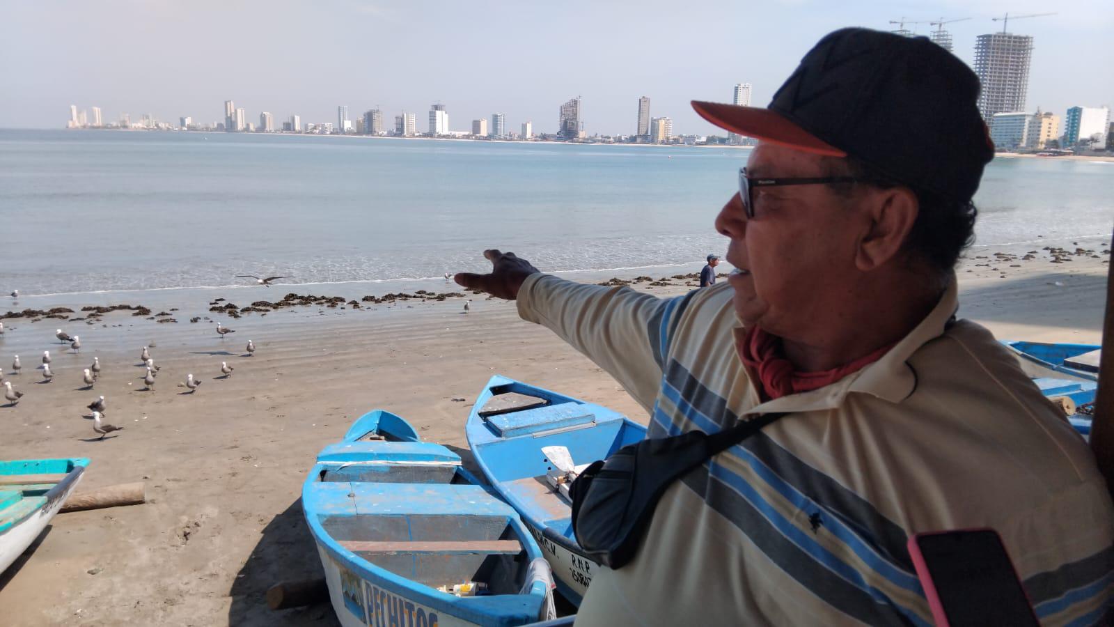 $!Se demora la llegada del popular pez ‘pajarito’ a Mazatlán