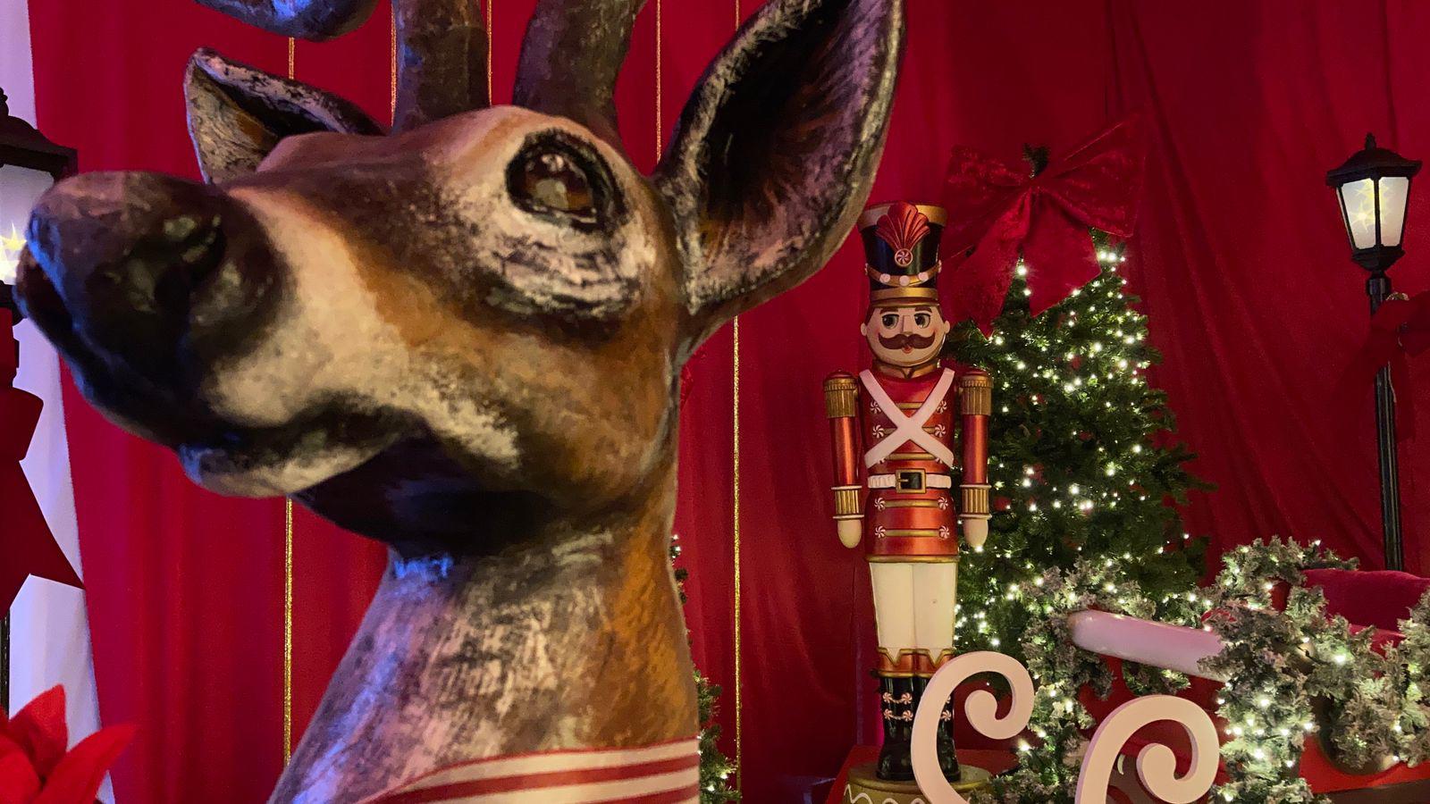 $!Gran Acuario Mazatlán presenta ‘Tiempos de Navidad’, una experiencia temática para toda la familia