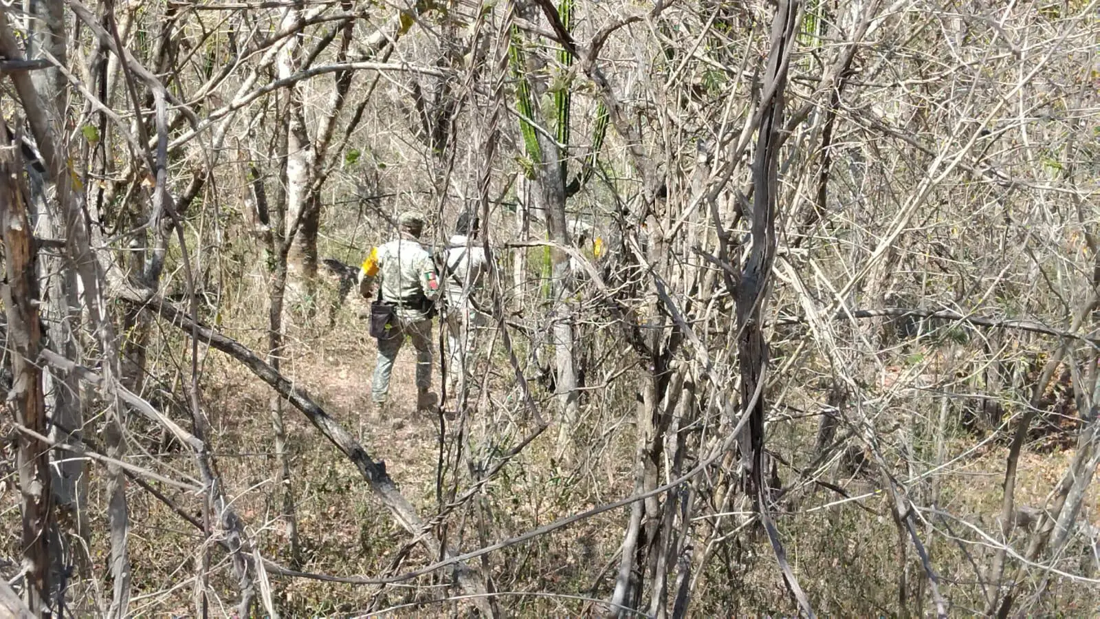 $!Se extravía periodista en barranco frente a mina de Rosario