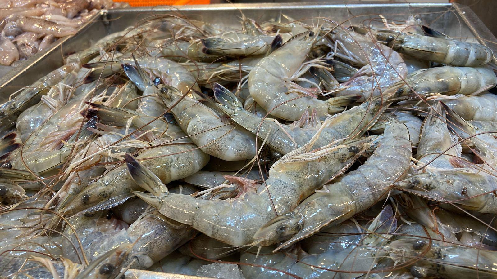 $!Lenguado, curvina, marlin y camarones, lo más buscando en Mazatlán para preparar platillos durante la Cuaresma