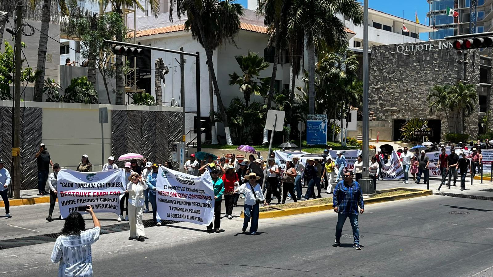 $!Productores buscan reunirse con la Presidenta Claudia Sheinbaum para pedirle cierre fronteras al camarón
