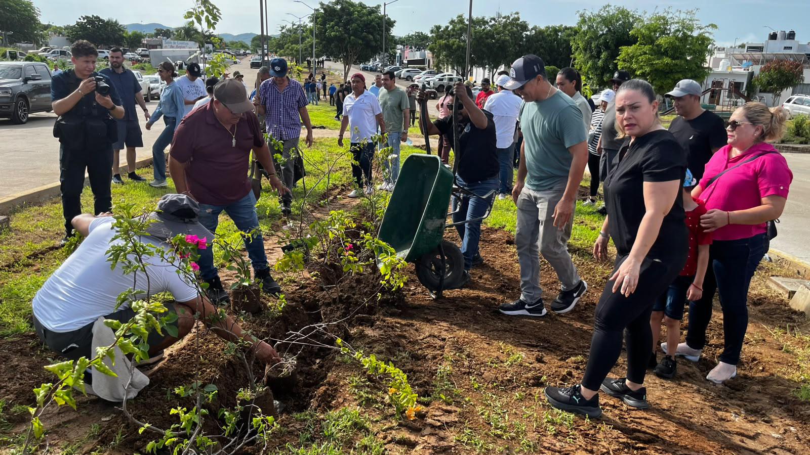 $!Plantan 60 árboles y 60 bugambilias en Jornada Nacional de Reforestación en Mazatlán
