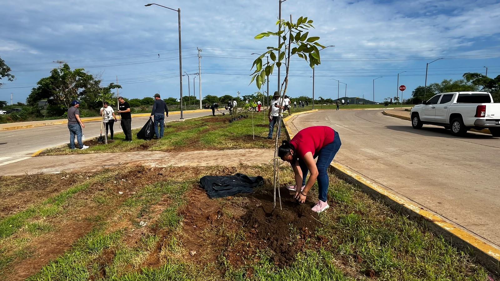 $!Plantan 60 árboles y 60 bugambilias en Jornada Nacional de Reforestación en Mazatlán