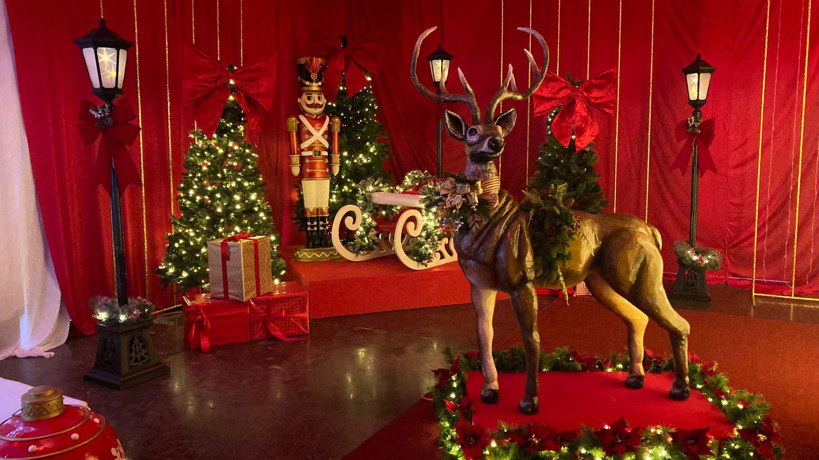 $!Gran Acuario Mazatlán presenta ‘Tiempos de Navidad’, una experiencia temática para toda la familia