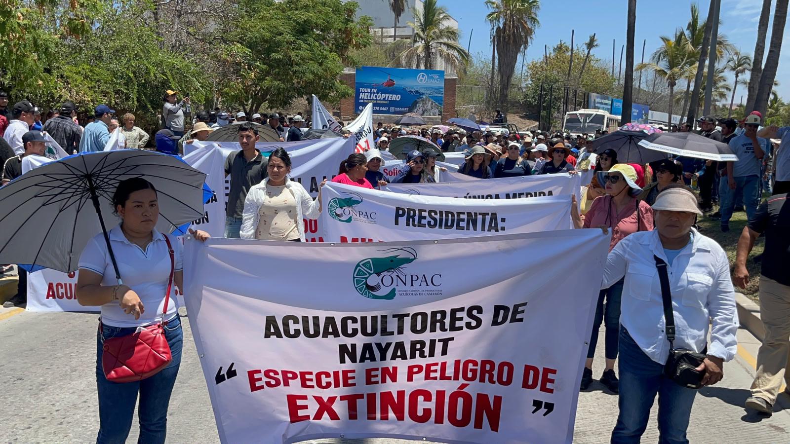 $!Sector pesquero marcha en Mazatlán para exigir cierre al camarón ilegal