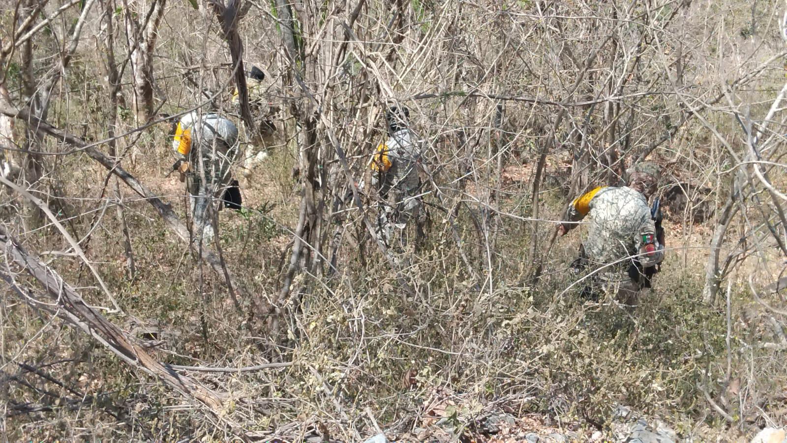 $!Despliegan a más de 500 elementos para buscar a camarógrafo extraviado en Rosario
